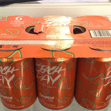 Charger l'image dans la galerie, BEACH DAY EVERY DAY - ICE TEA- THE GLACER - BREUVAGE ALCOOLISE - CAN 355 ML X 6
