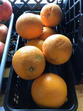 Charger l'image dans la galerie, ORANGES « FRUITS »
